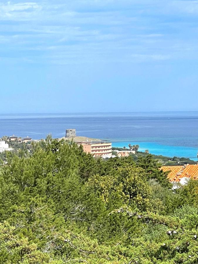 Casa Vacanze Stintino Vista Mare Luaran gambar